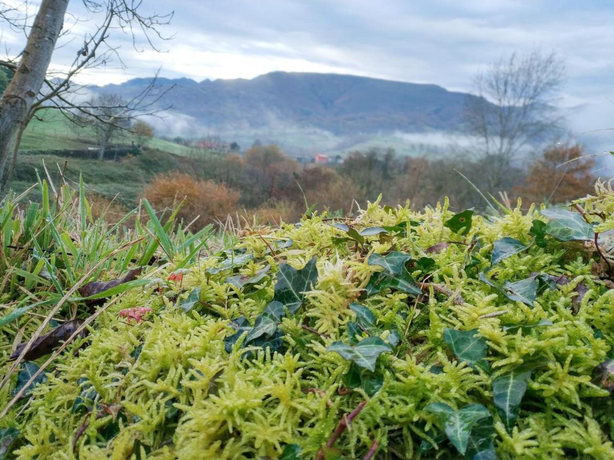 فيلا El Balcon Del Horreo Piloña المظهر الخارجي الصورة
